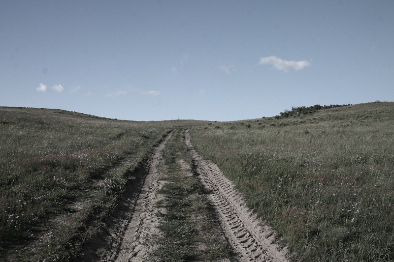 Killikus&reg; Fotographie